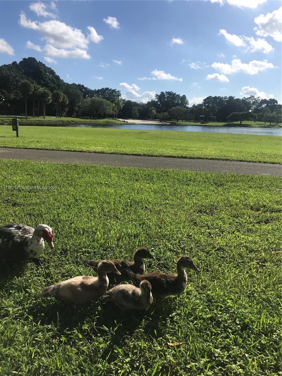 15295 SW 106 Ln Unit: 705
