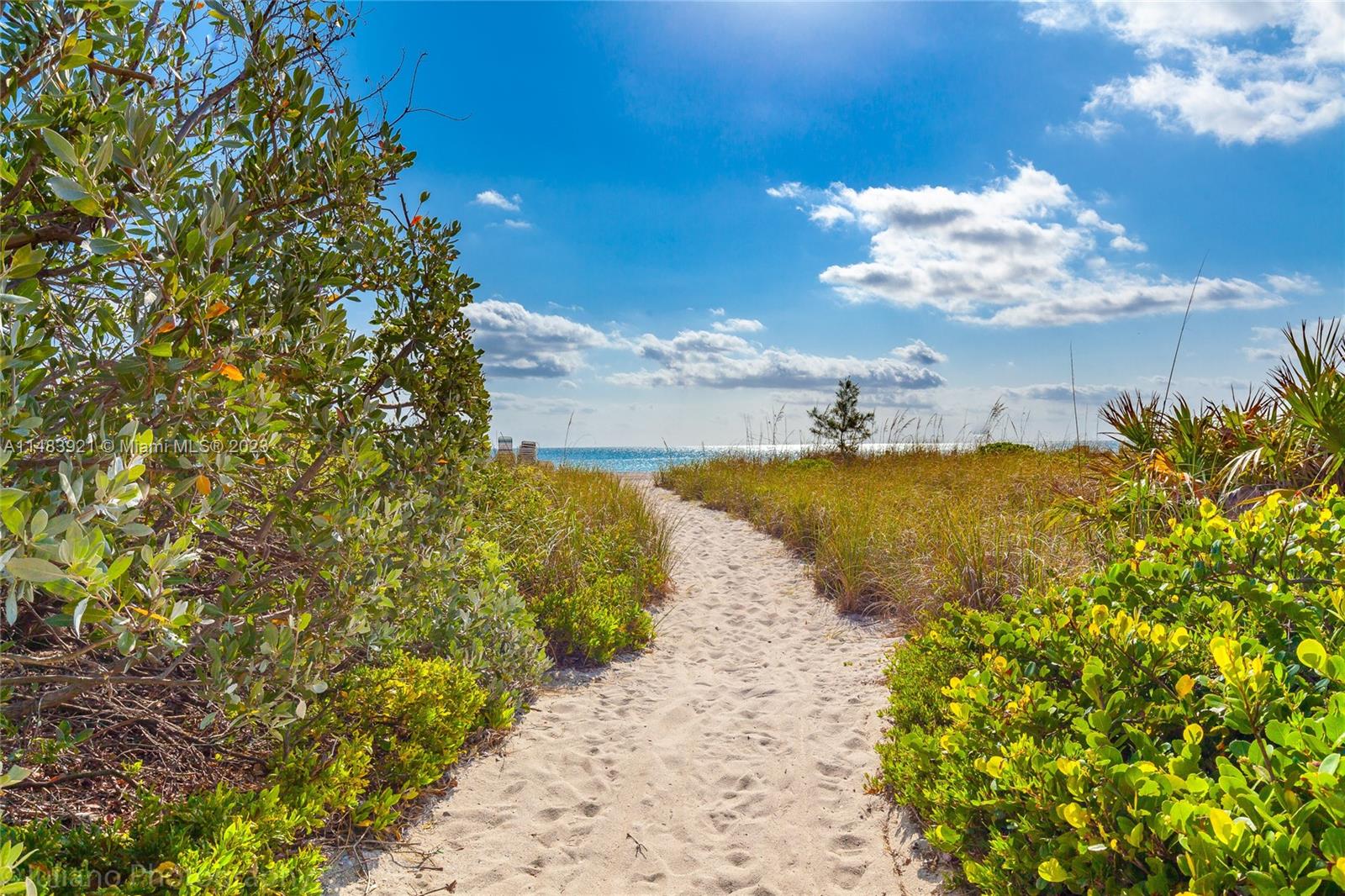 5005 Collins Ave Unit: 808