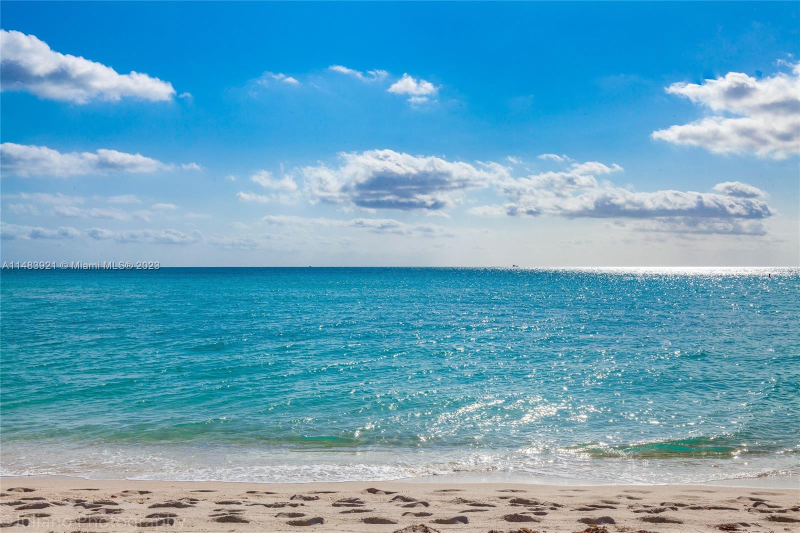 5005 Collins Ave Unit: 808