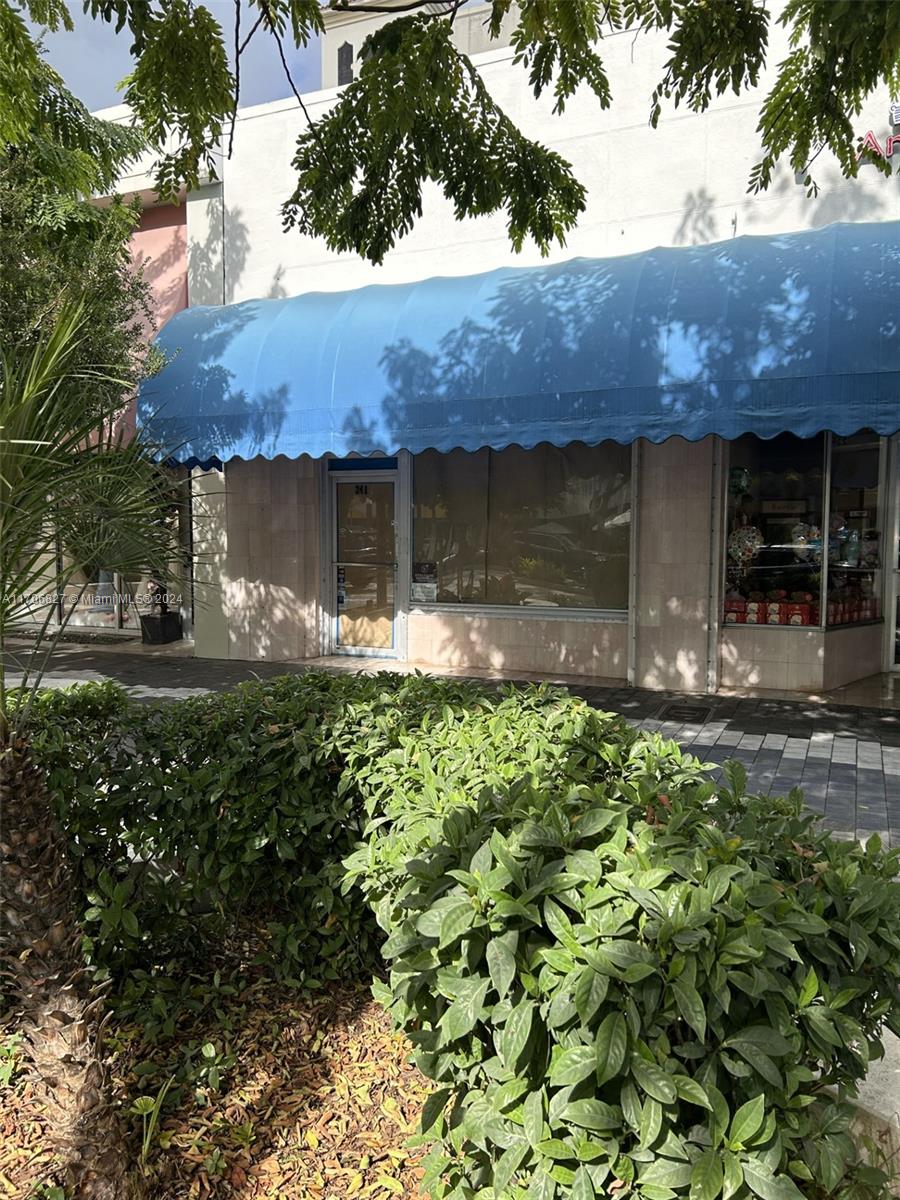 241 Miracle Mile