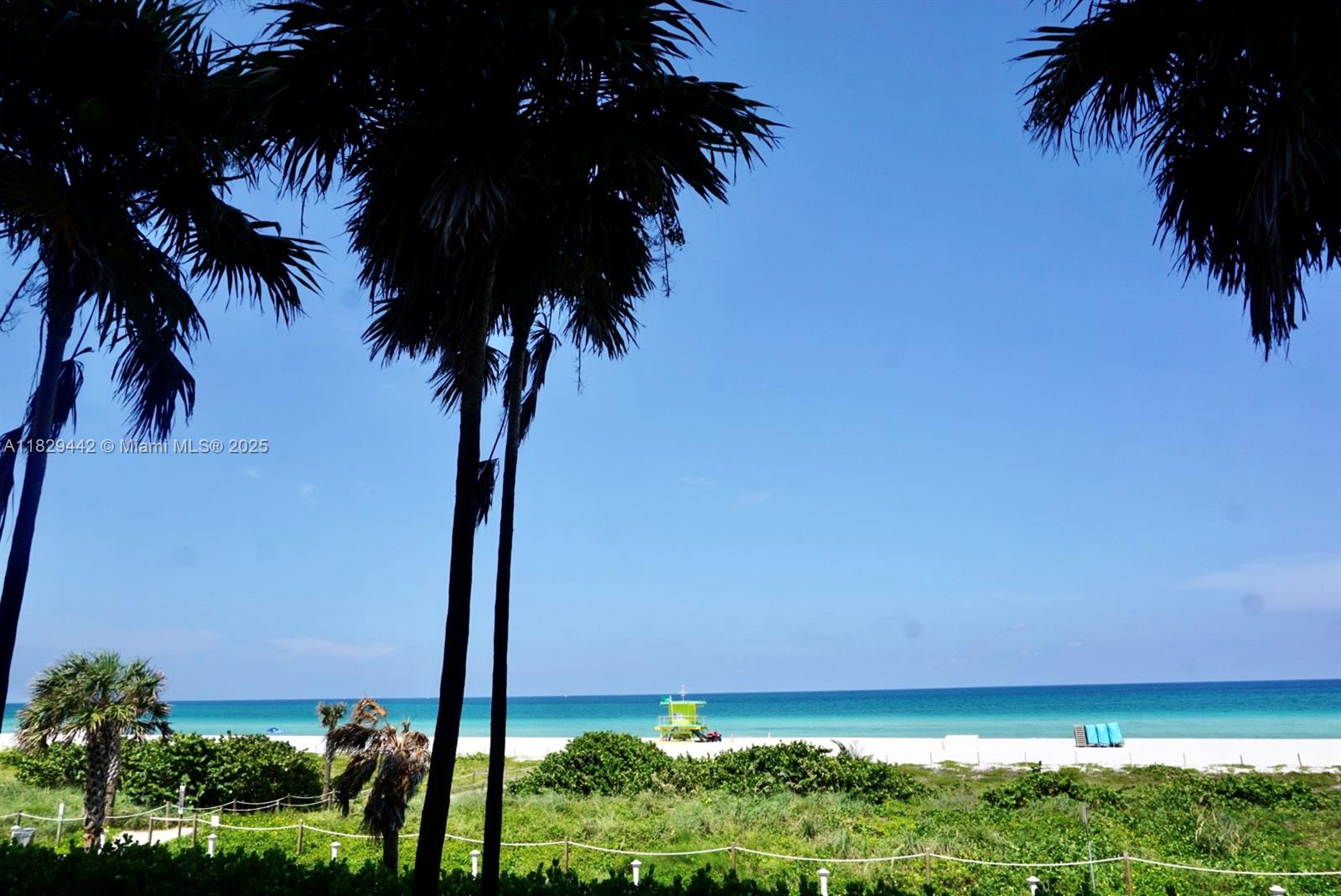 5757 Collins Ave # 803
