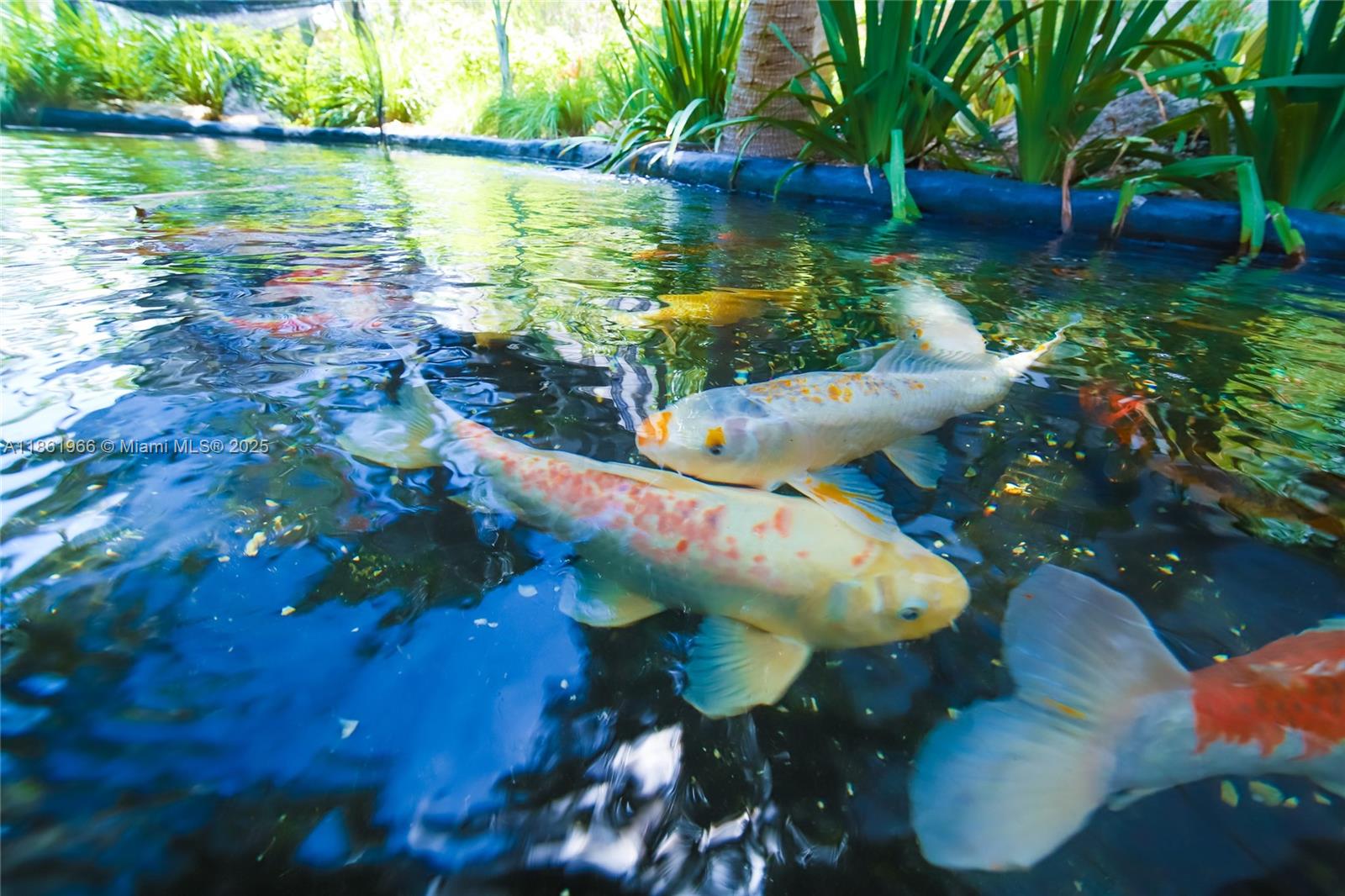 1121 Crandon Blvd # D703