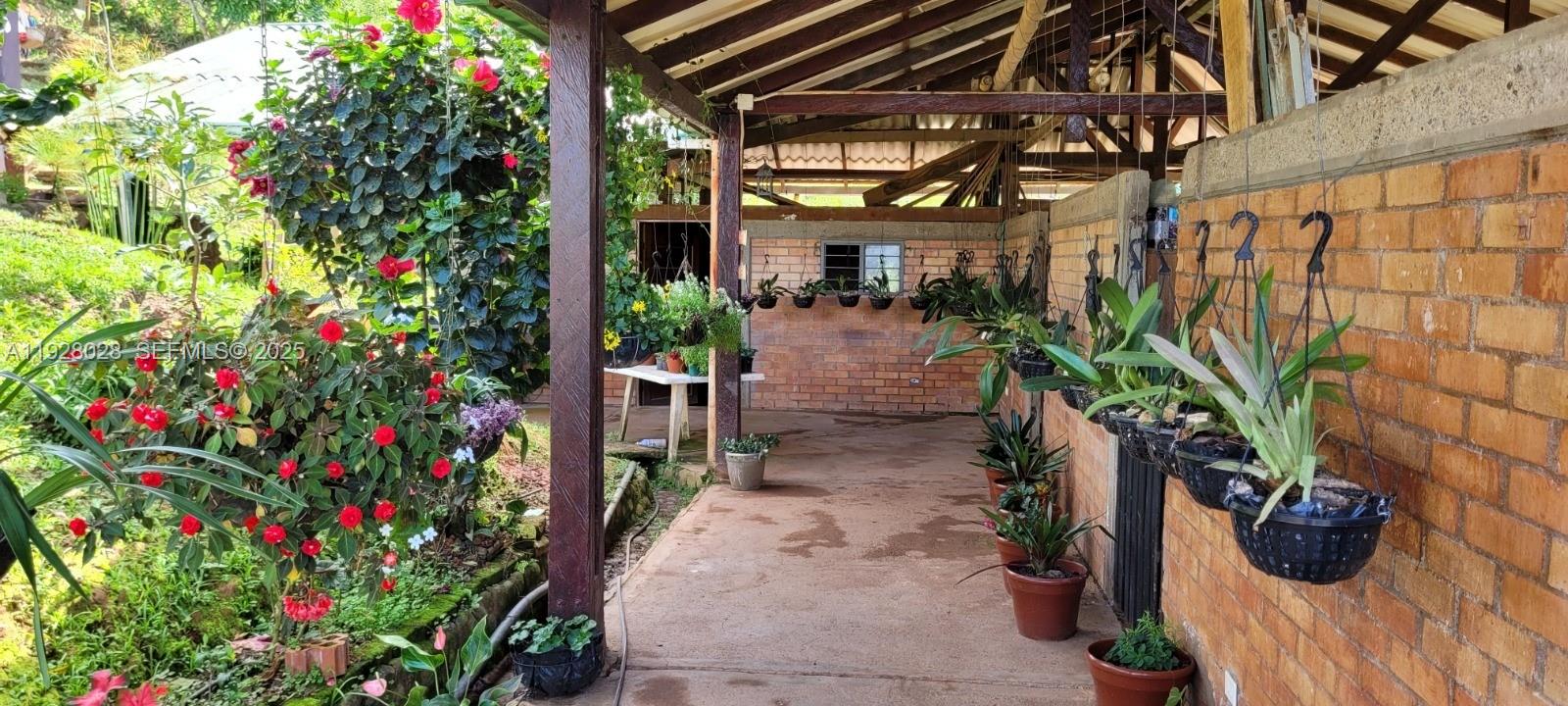 0 Dagua Valle del Cauca Col