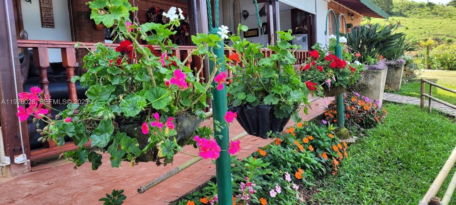 0 Dagua Valle del Cauca Col