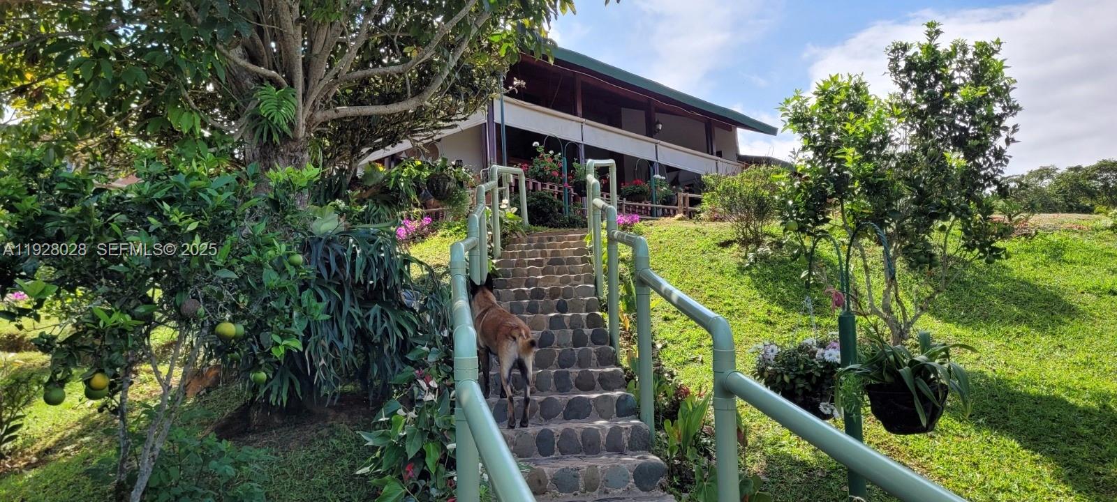 0 Dagua Valle del Cauca Col