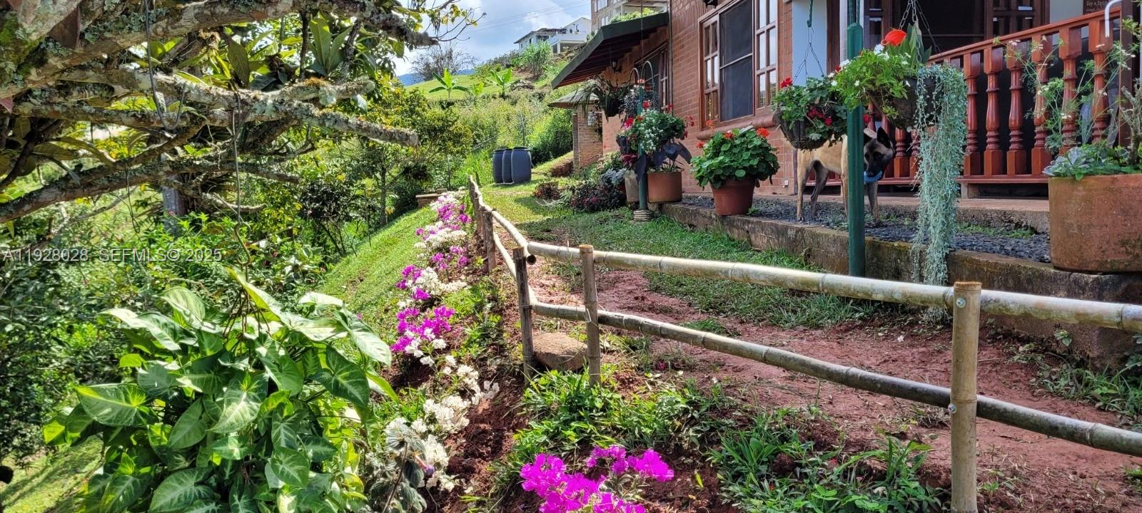 0 Dagua Valle del Cauca Col