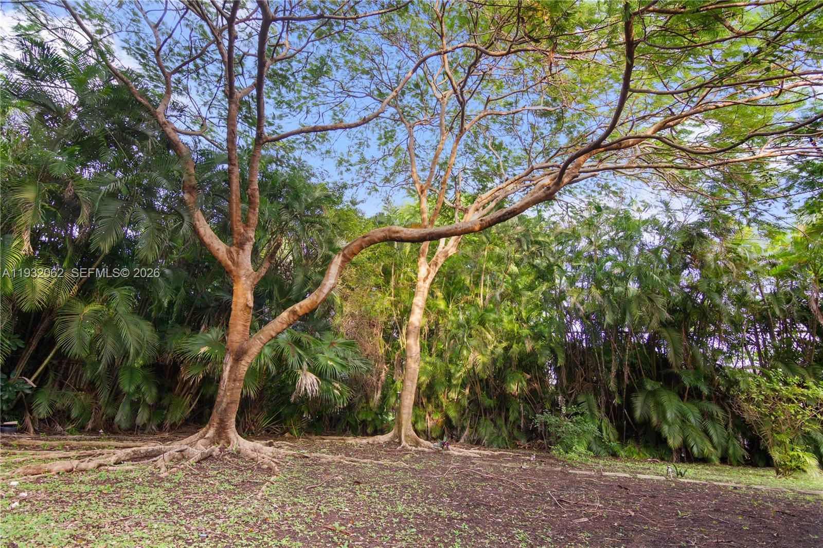 11825 S Mitchell Manor Cir