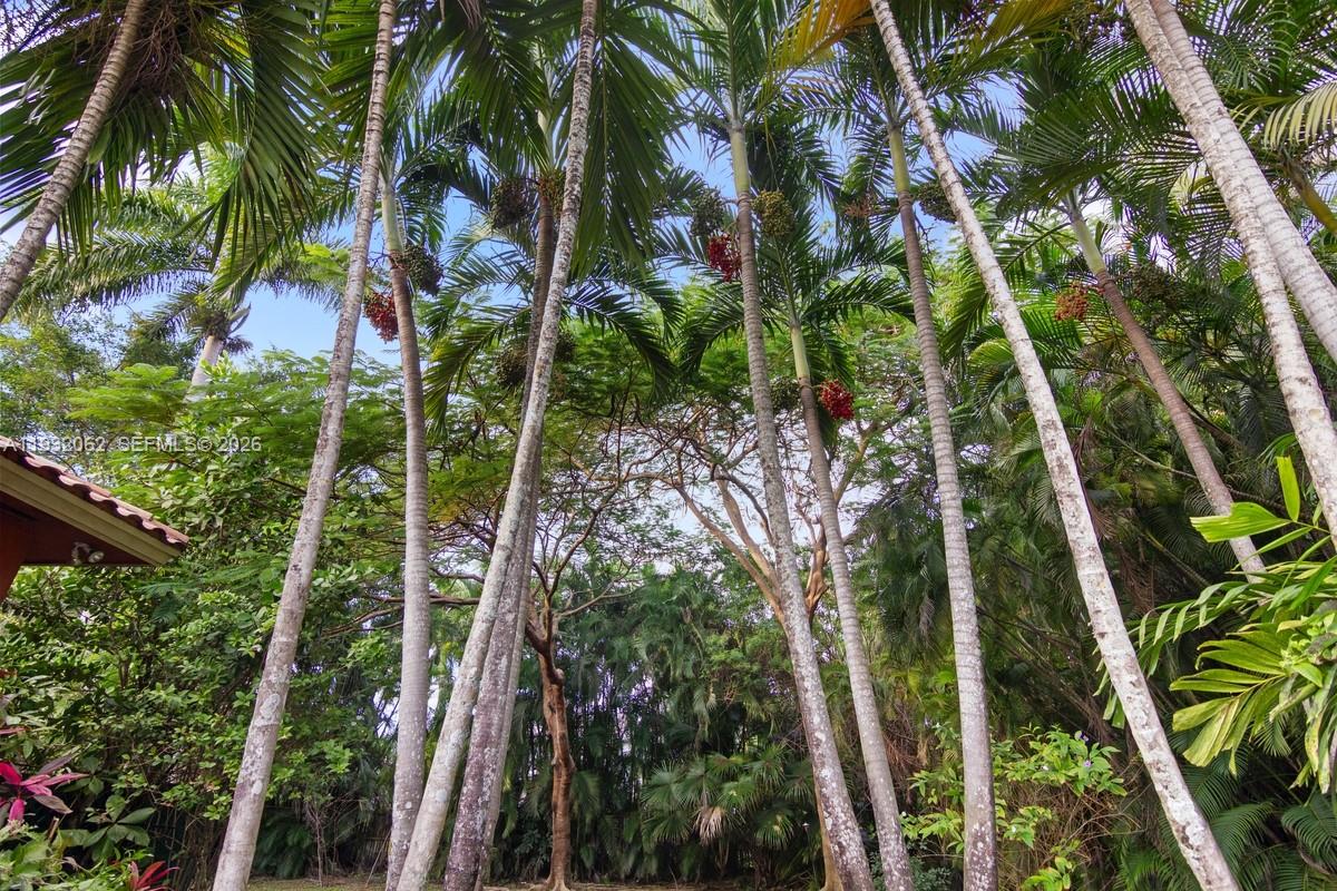 11825 S Mitchell Manor Cir