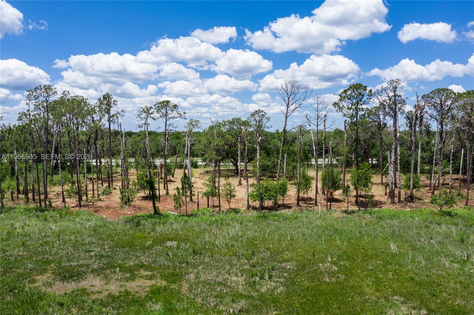 2916 Holiday Beach Dr