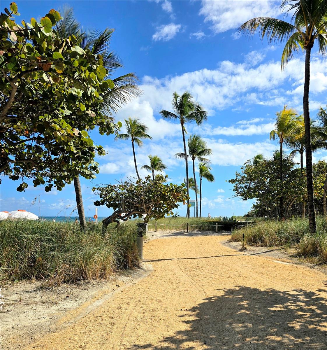 10175 Collins Ave # 208