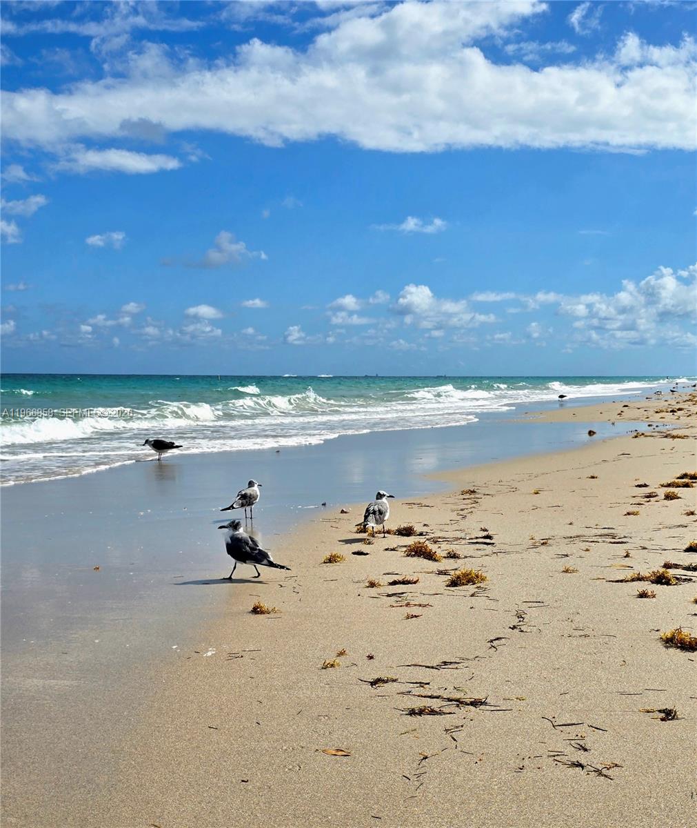 10175 Collins Ave # 208