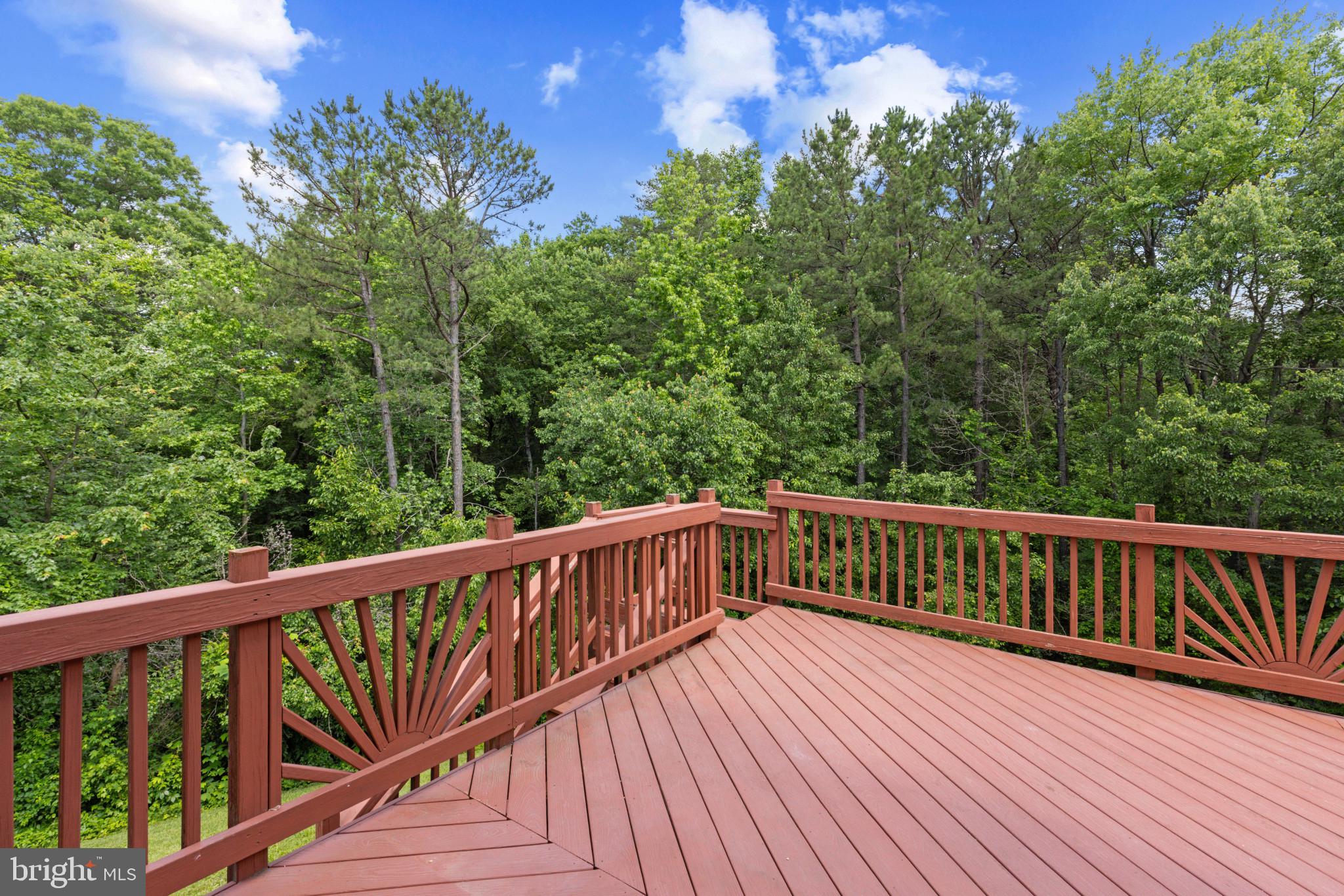 1562 FALLING BROOK COURT