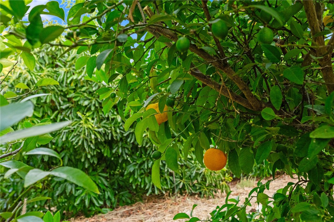 42125 Hacienda Drive