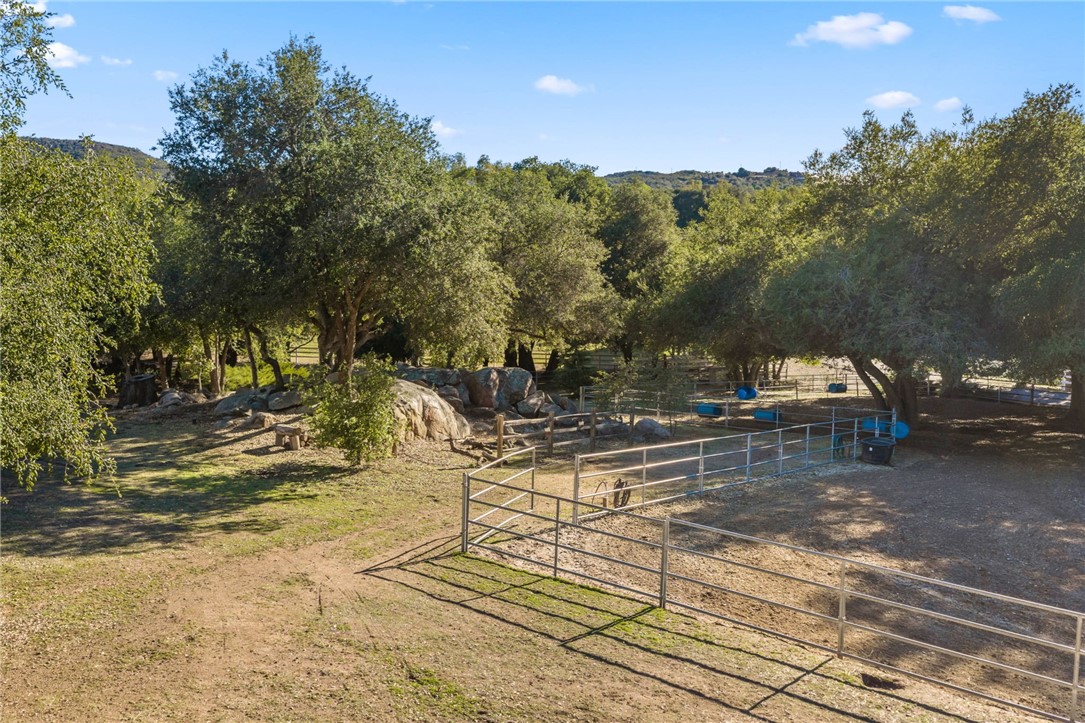 17705 Rodeo Road