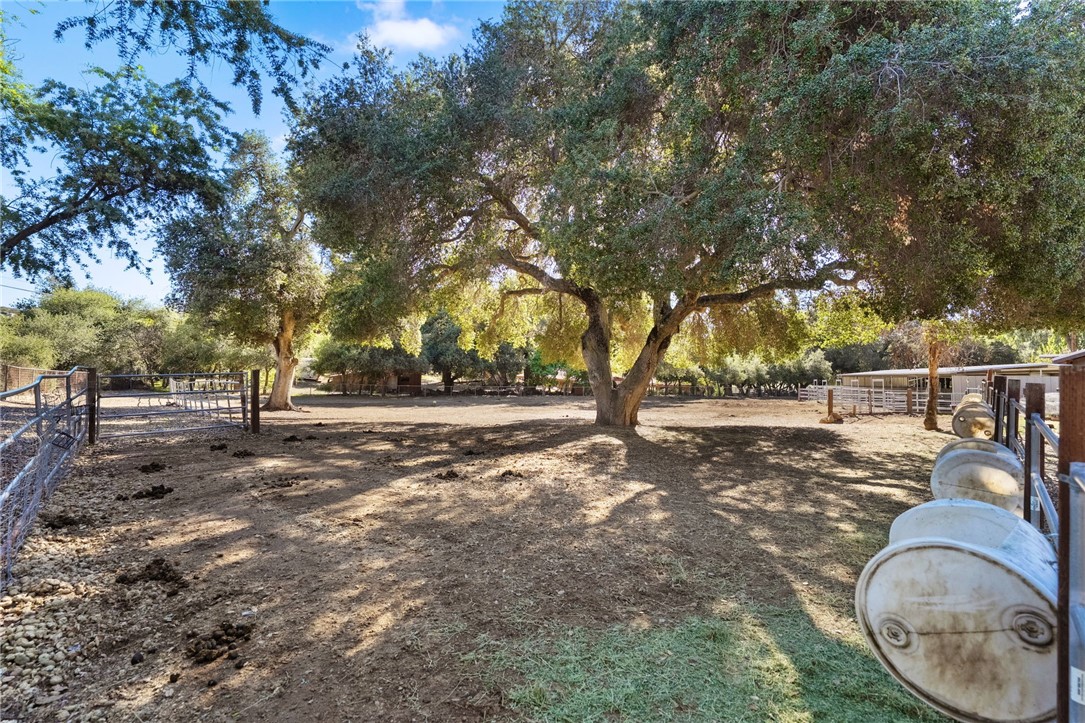 17705 Rodeo Road