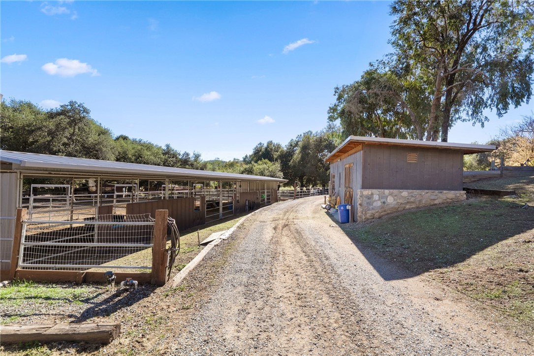 17705 Rodeo Road