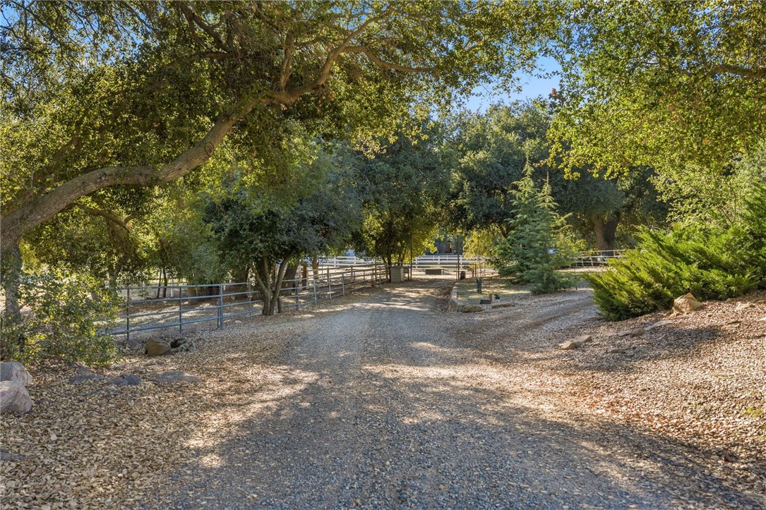 17705 Rodeo Road