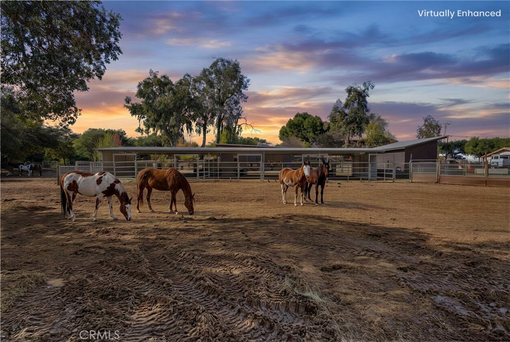 17705 Rodeo Road