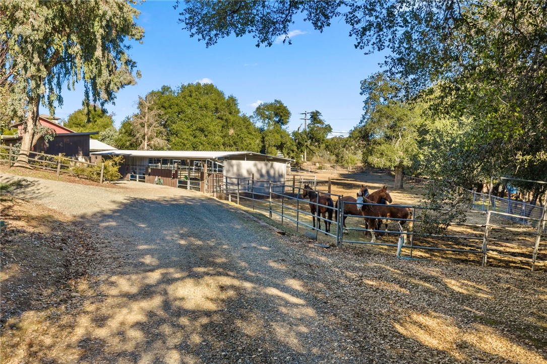 17705 Rodeo Road