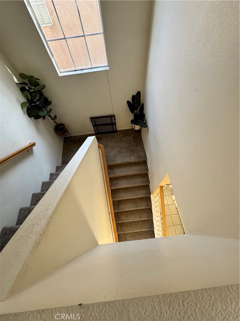 39536 Sarah Drive
