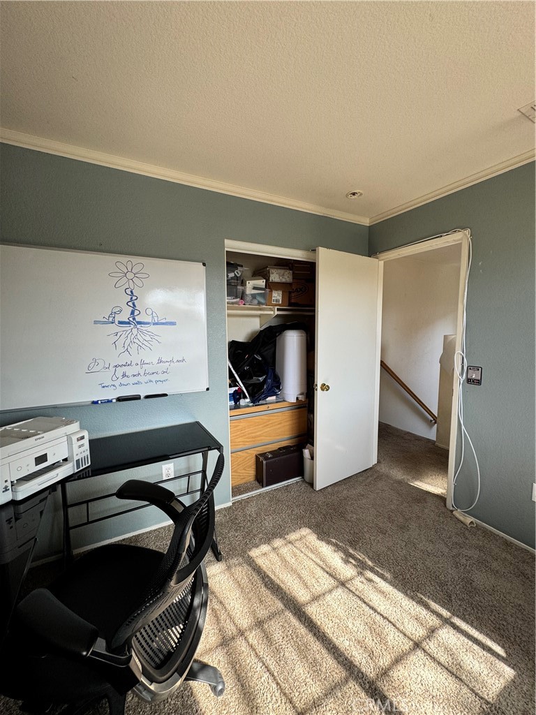 39536 Sarah Drive