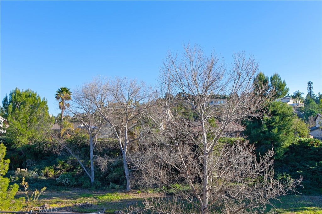 31383 Britton Circle