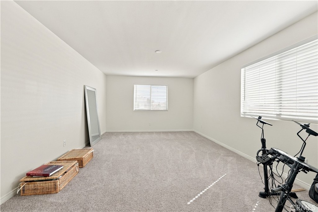 29553 Tulipwood