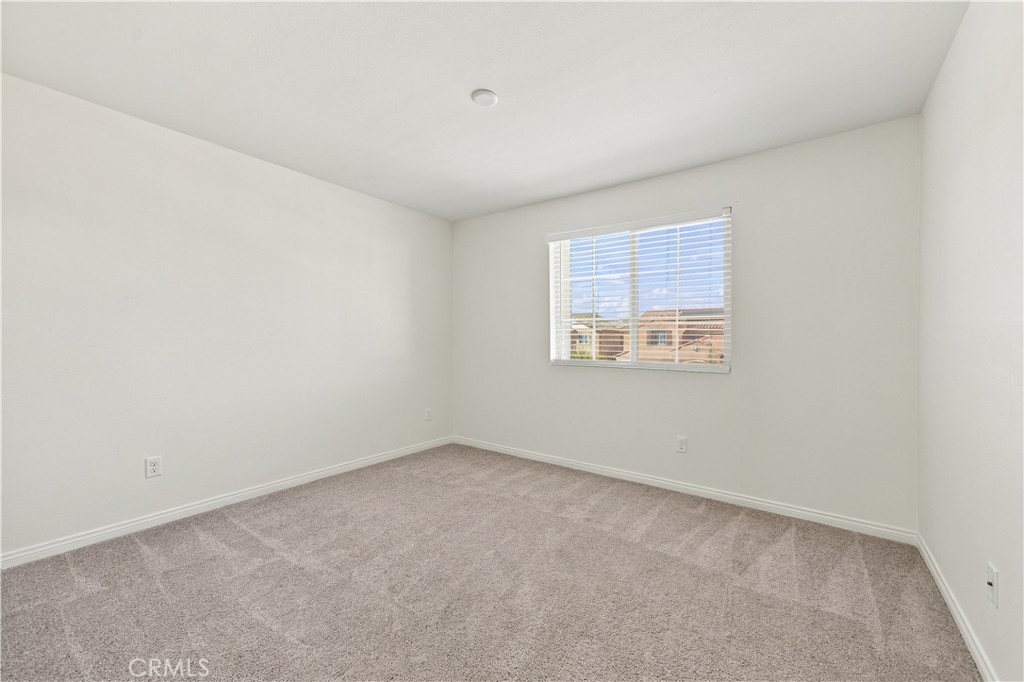 29553 Tulipwood