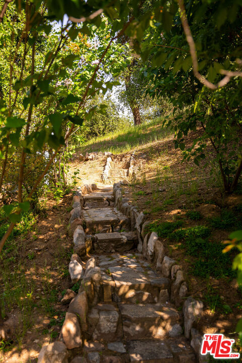 7290 Saint Estaban Street