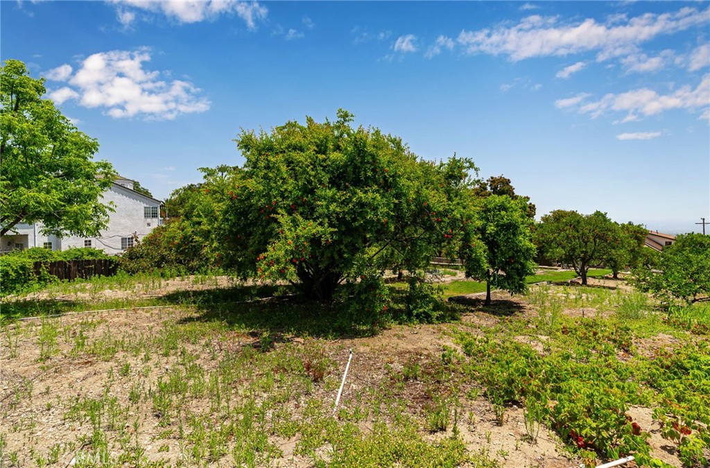 2453 N San Antonio Avenue