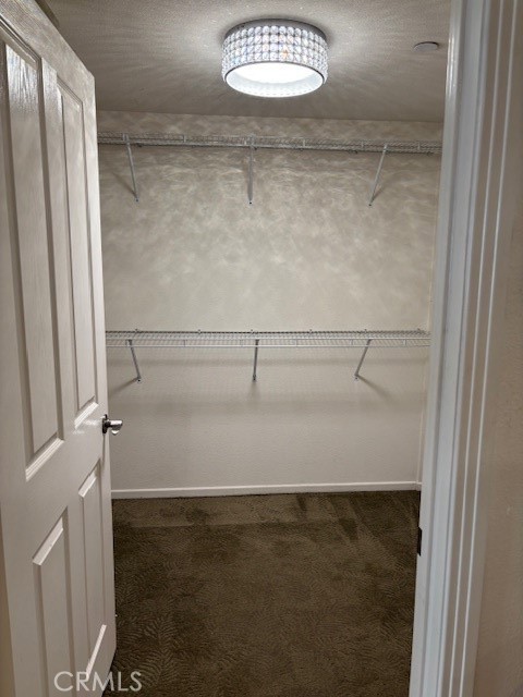 12386 Hollyhock Drive 3