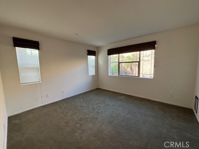 12386 Hollyhock Drive 3