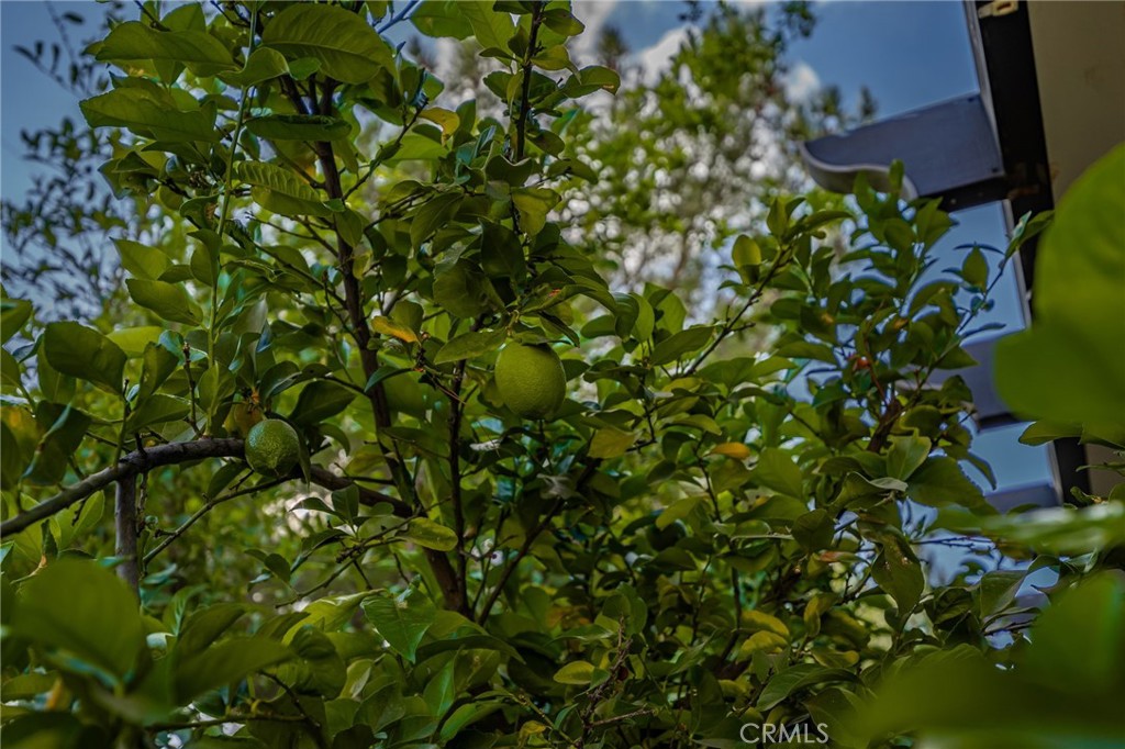 15613 Cole Point Lane