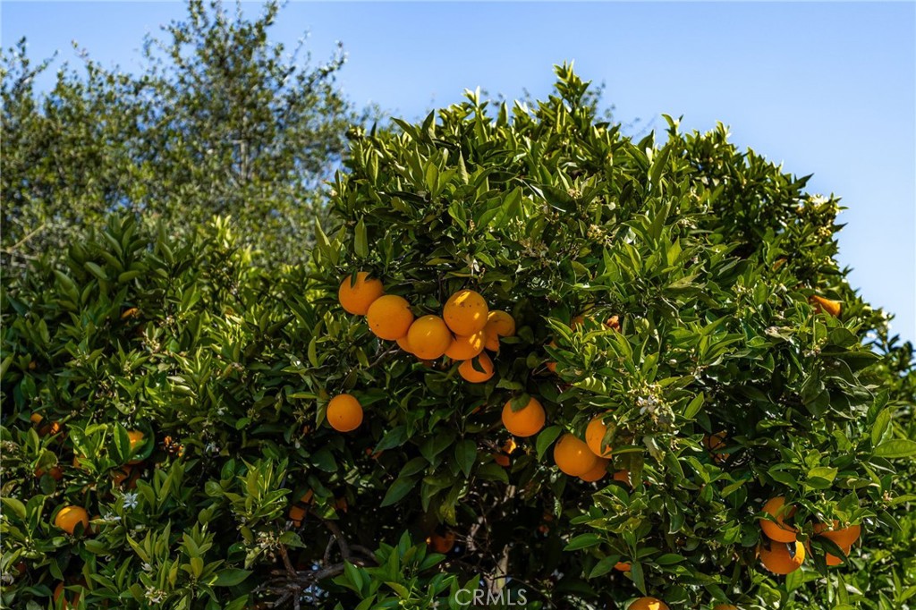 2465 Via Oeste Drive