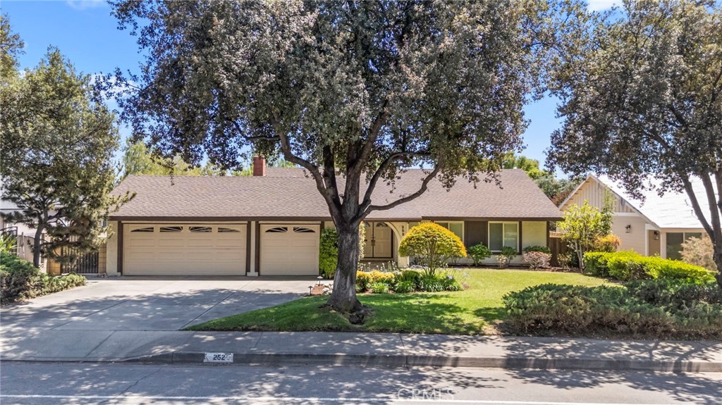 252 E Radcliffe Drive