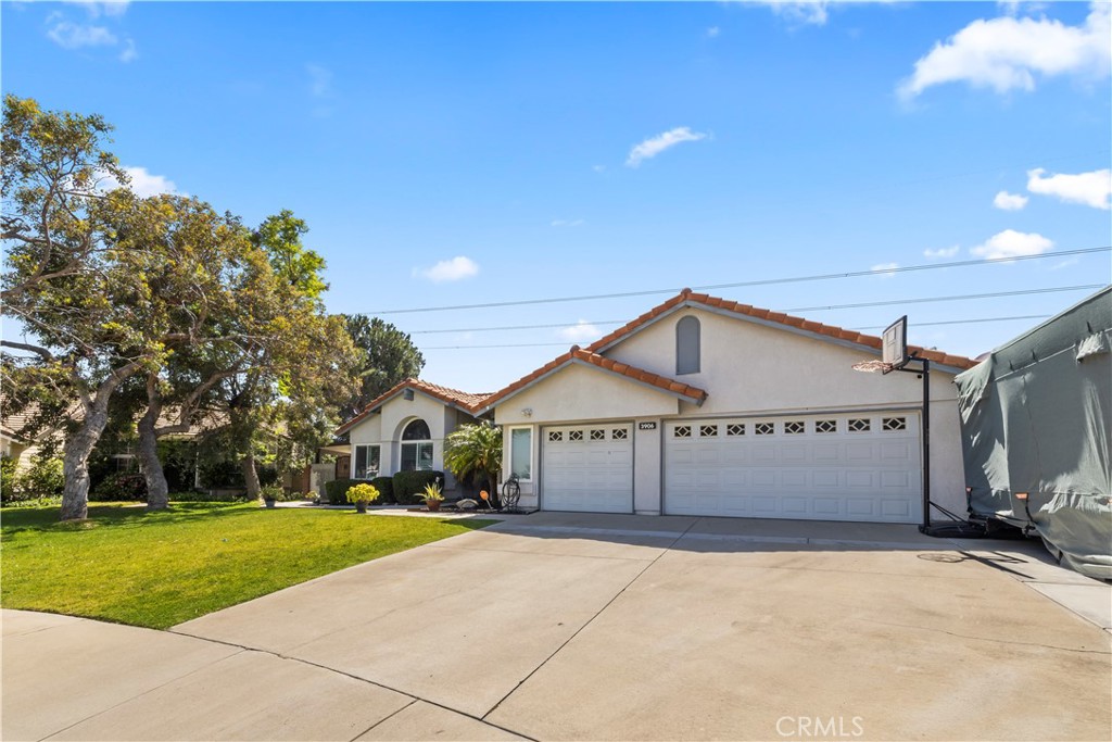 3906 N Flame Tree