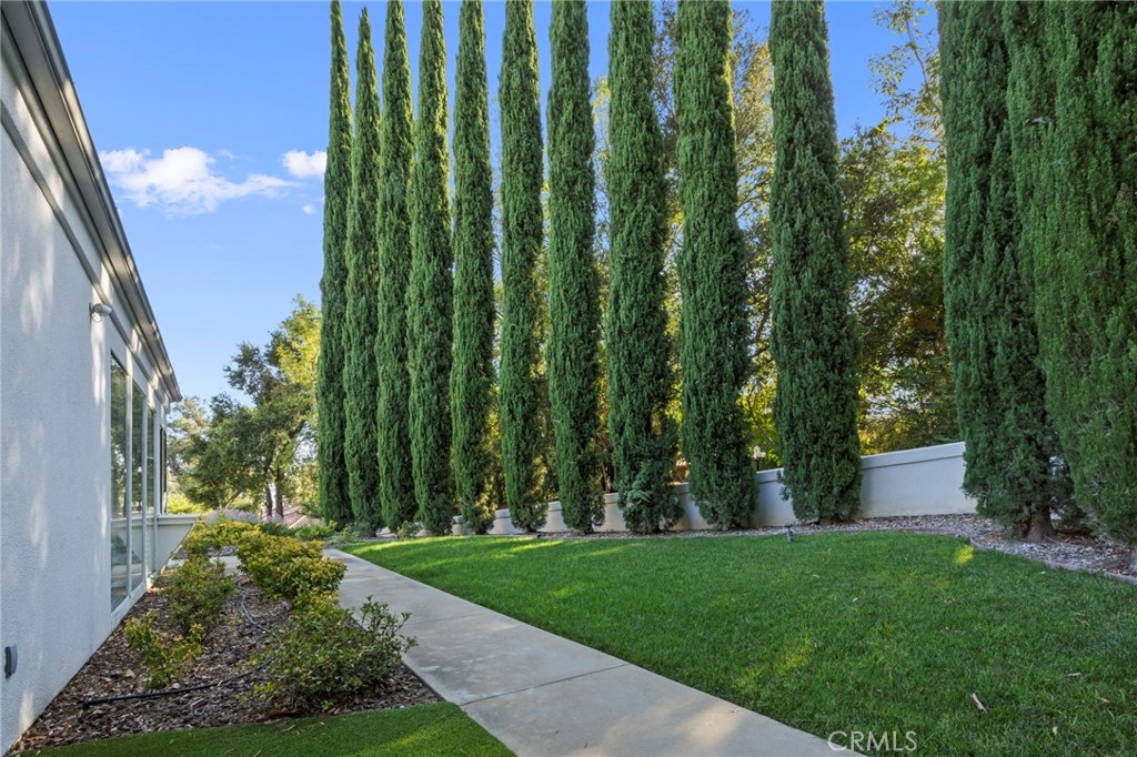 Side yard with a concrete walkway, green lawn, and tall cypress trees.