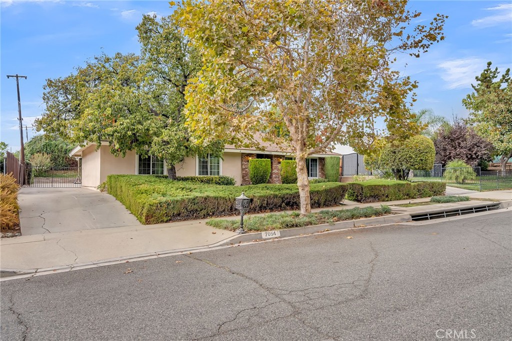 7054 Selma Avenue