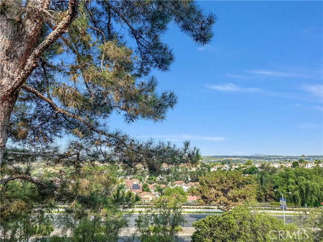 28461 Del Mar