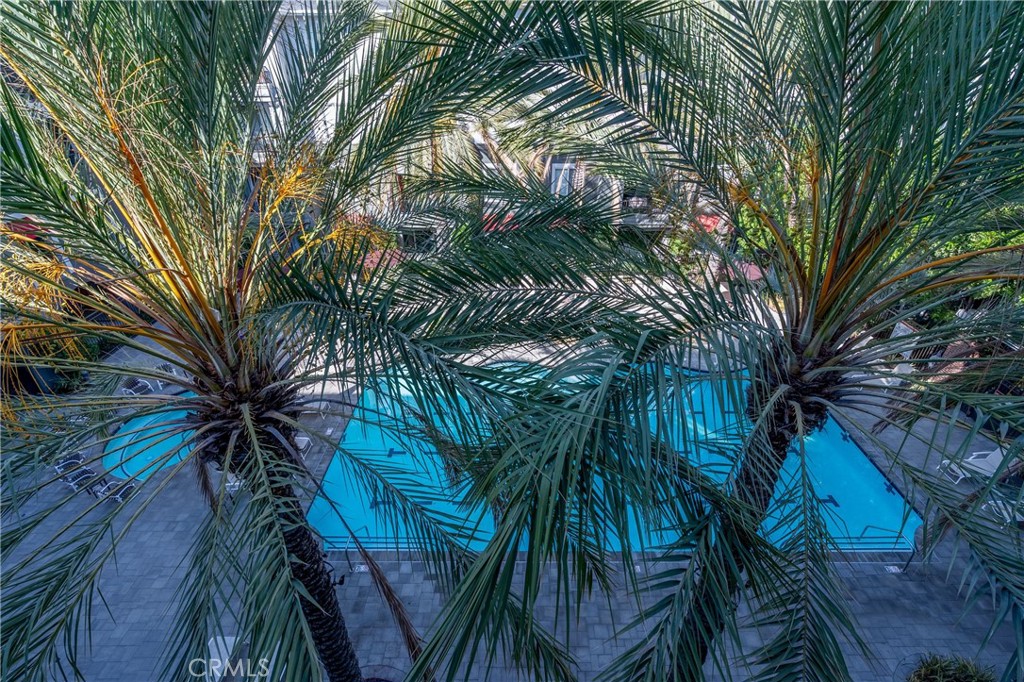 1801 E Katella Avenue 4010