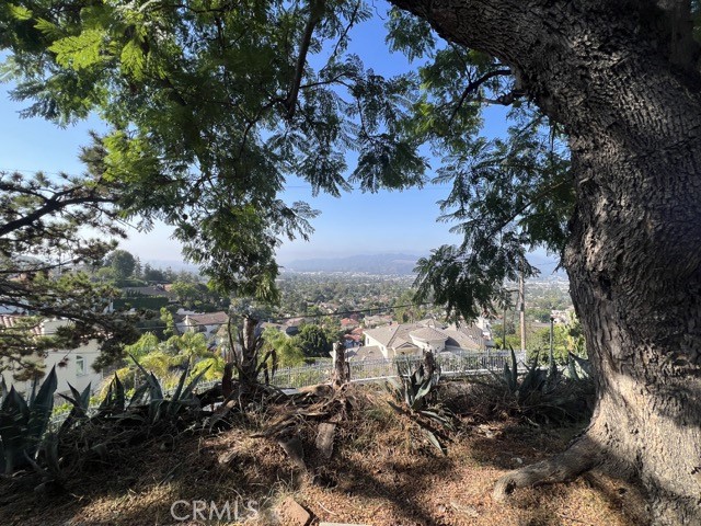 1004 La Rambla Drive