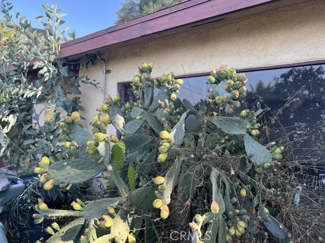 1004 La Rambla Drive