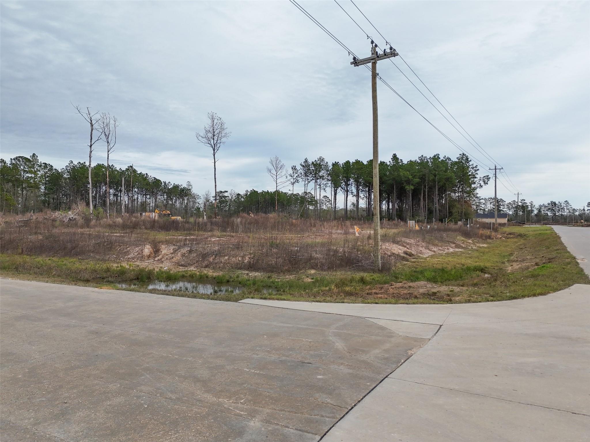 Vacant roadside lot with sparse brush, overhead power lines, and a tree line.