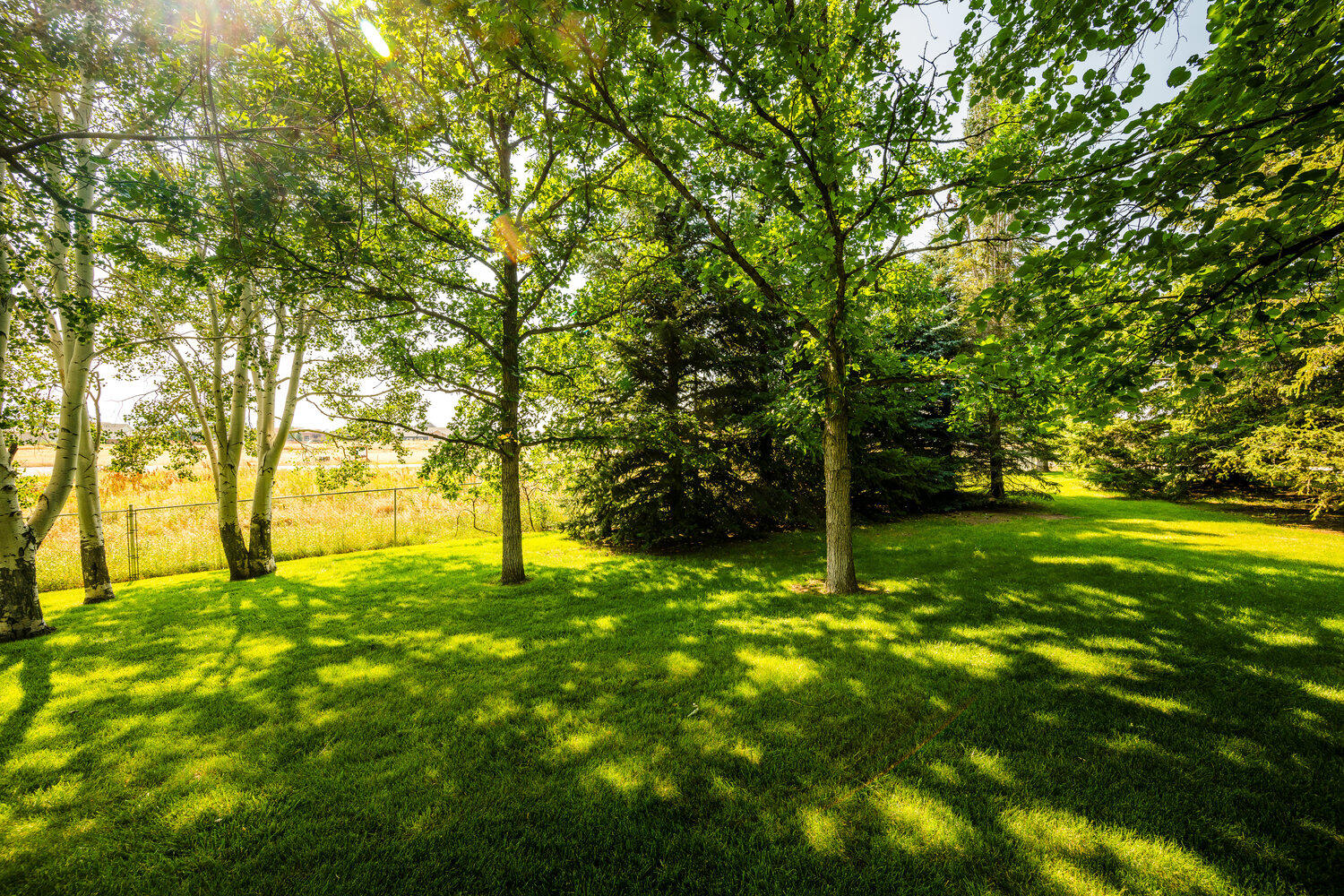 118 Scott Drive
