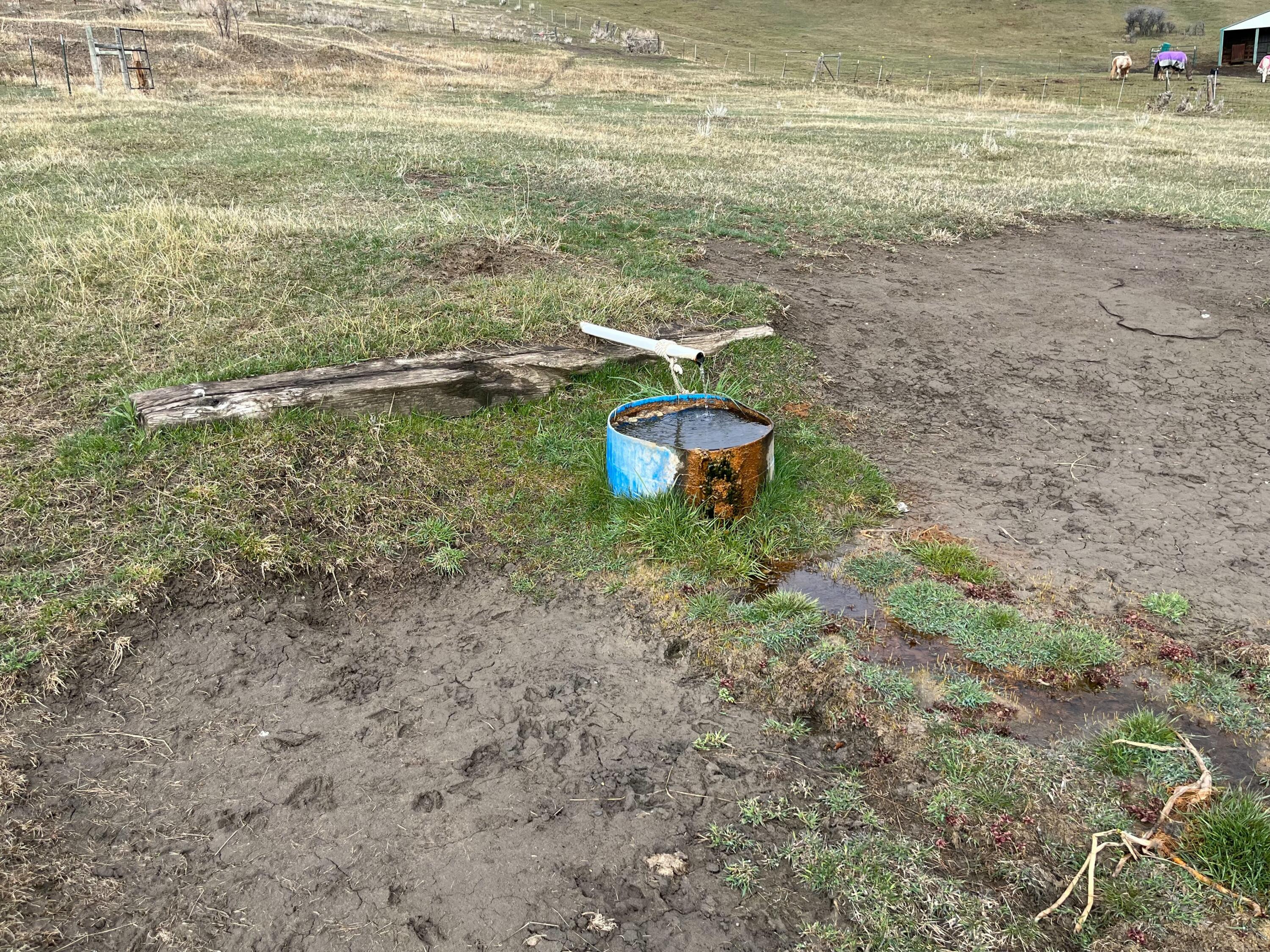 7 Roping Drive
