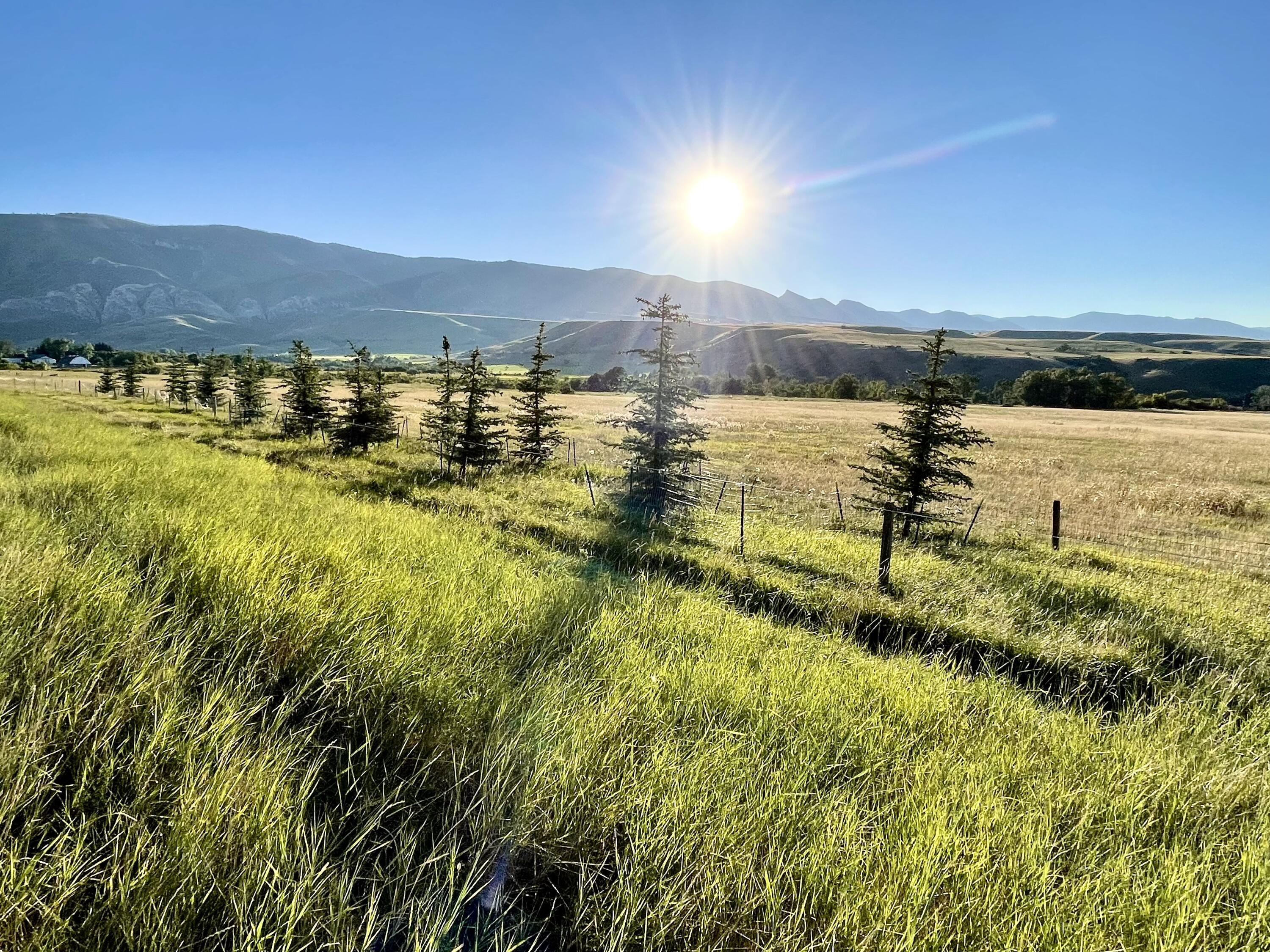 40.6 acres Canyon Ranch Road