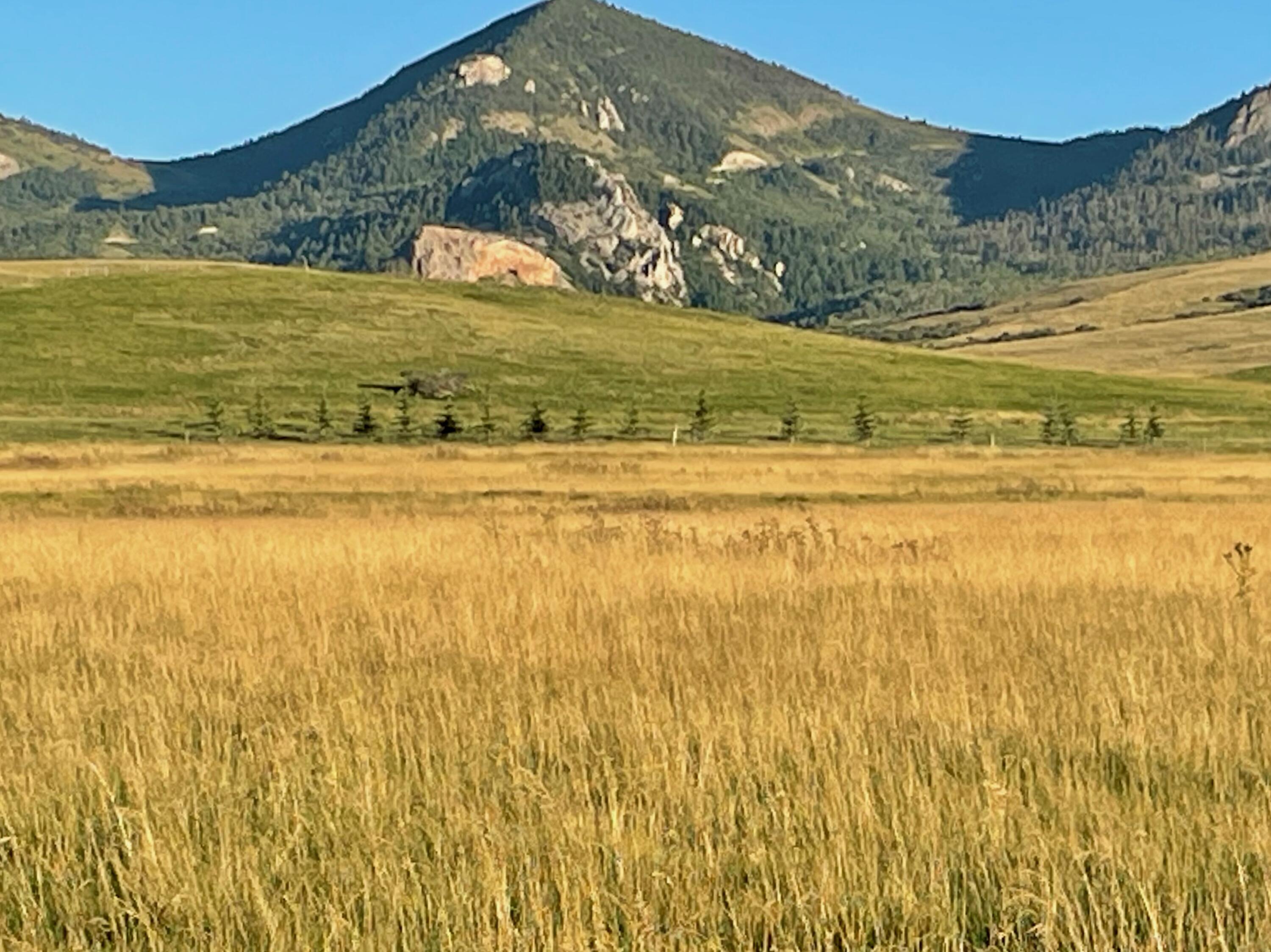 40.6 acres Canyon Ranch Road
