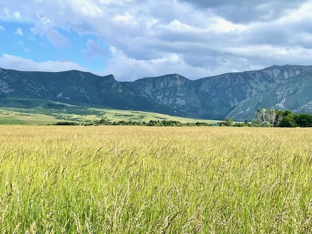40.6 acres Canyon Ranch Road