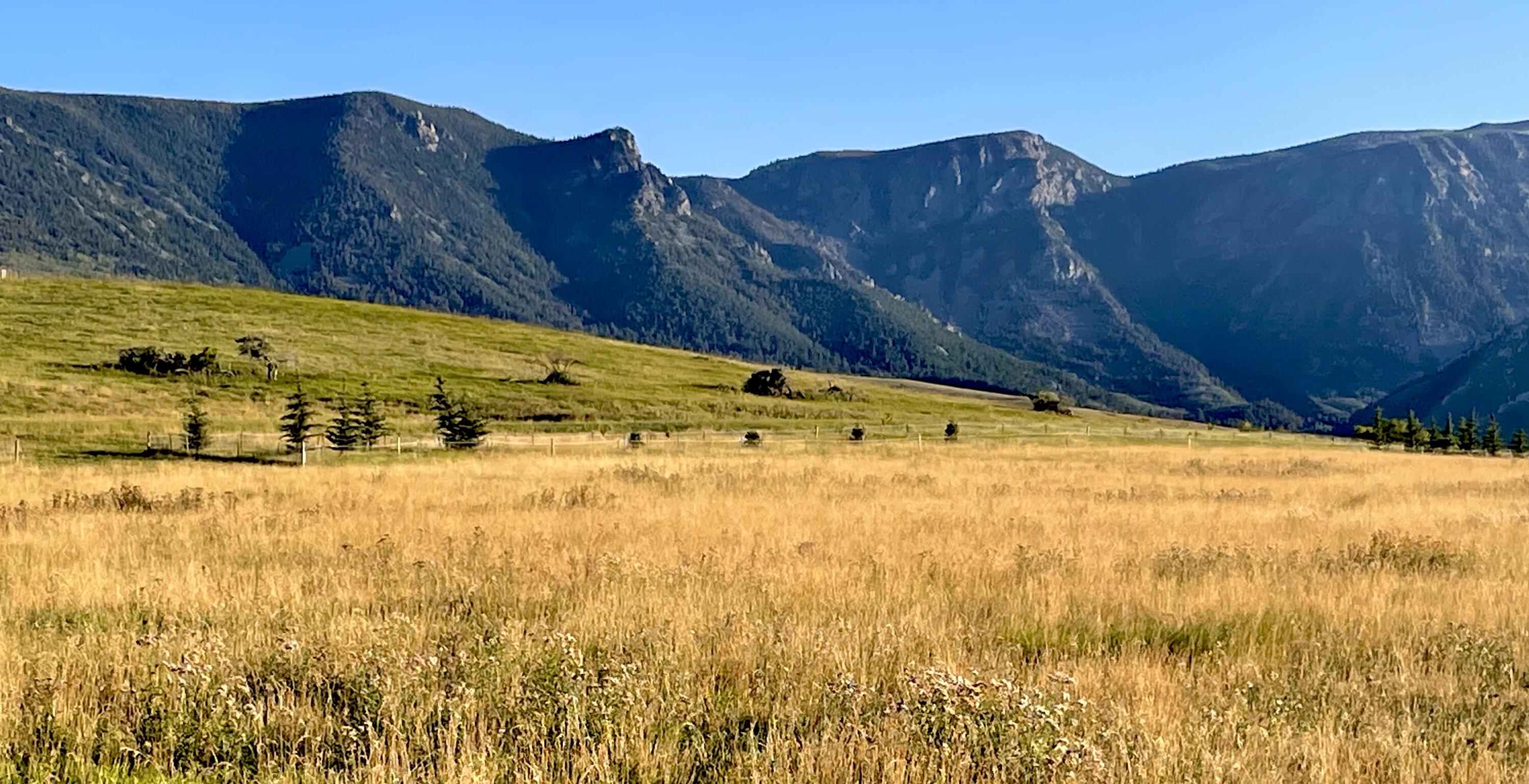 40.6 acres Canyon Ranch Road