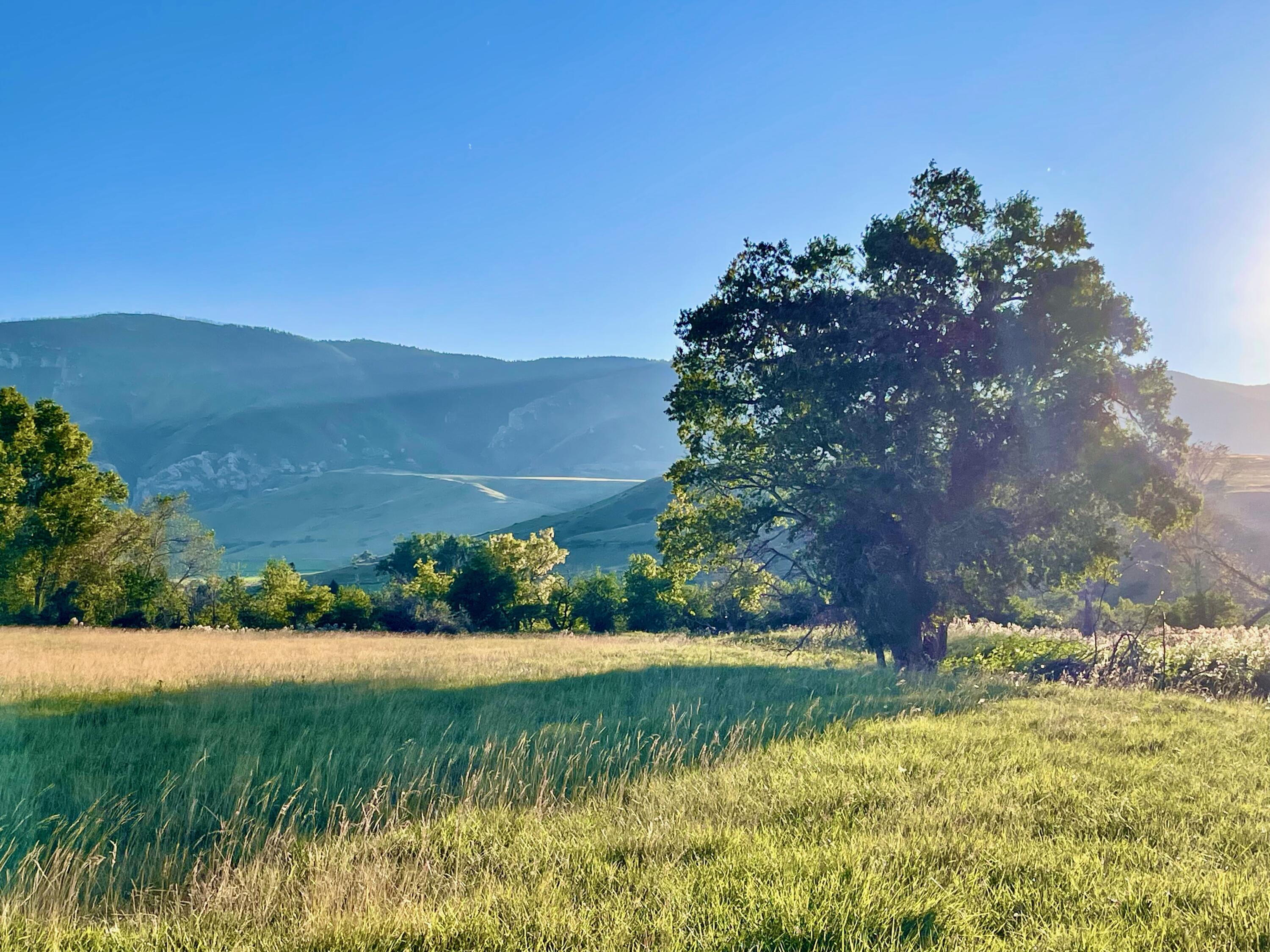 40.6 acres Canyon Ranch Road